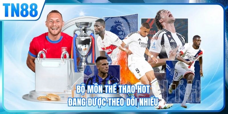 Bộ môn thể thao hot đang được theo dõi nhiều